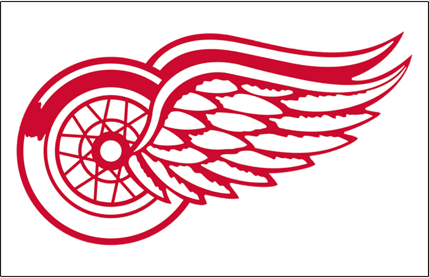 Detroit Red Wings 1972-1982 Jersey Logo DIY iron on transfer (heat transfer)